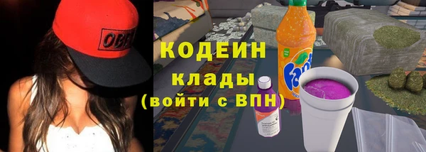 дживик Гусь-Хрустальный