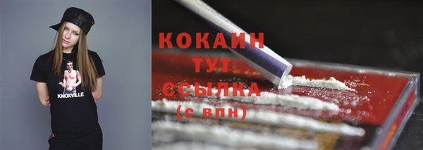 дживик Гусь-Хрустальный