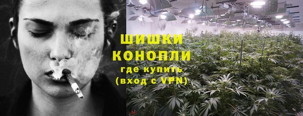 spice Гусиноозёрск