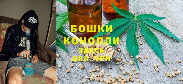 spice Гусиноозёрск