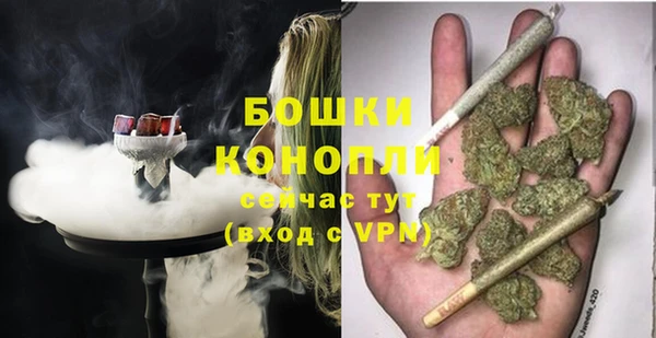 spice Гусиноозёрск