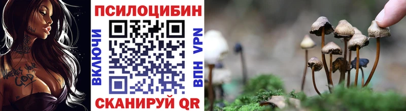 Купить закладки  Усолье  Галлюциногенные грибы Psilocybine cubensis 